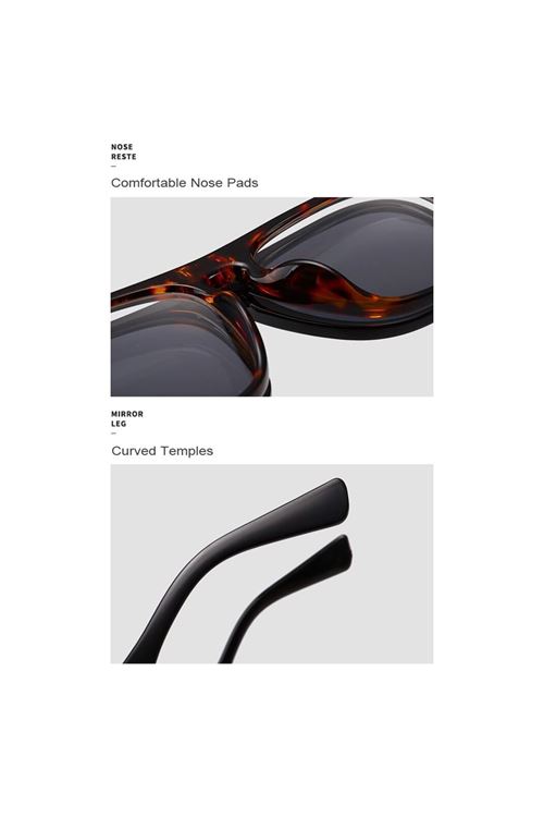 Alpottica Taylor Havana-Brown Black Unisex Güneş Gözlüğü