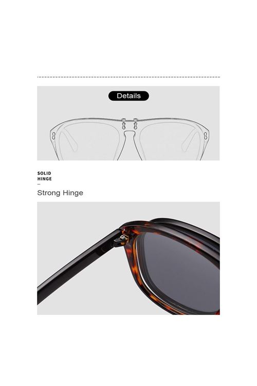 Alpottica Taylor Havana-Brown Black Unisex Güneş Gözlüğü