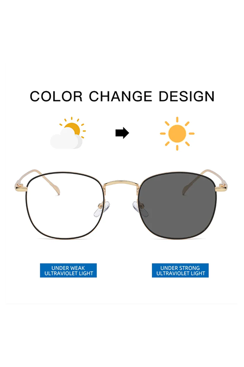 Alpottica Prag Silver 2 in 1-Mavi Işık Koruyucu Fotokromik Gözlük