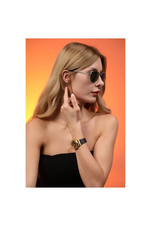 Alpottica Plane Silver Green Unisex  Güneş Gözlüğü