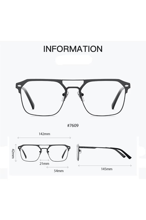 Alpottica Magnetic Eyewear 7609  3 in Silver