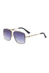 Alpottica Premium Gold GreyUnisex  Güneş Gözlüğü