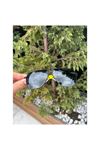 Alpottica Simon Green Yellow Güneş Gözlüğü