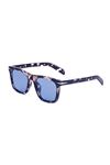 Alpottica Teron Brown-Havana Blue Unisex  Güneş Gözlüğü